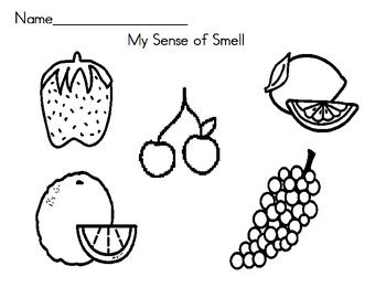 My Five Senses Unit By Shellijo Teachers Pay Teachers