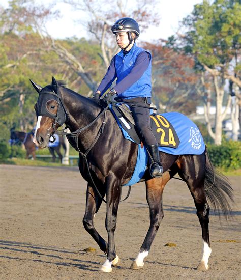 【新馬戦】g1・5勝アパパネの子バードウォッチャー、11日東京5rで初陣 国枝調教師「アパパネの子だし期待しているよ」 Umatoku 馬トク