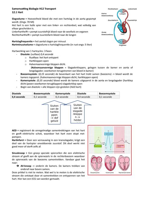 H12 Biologie Nectar Havo 5 Samenvatting Biologie H12 Transport 12