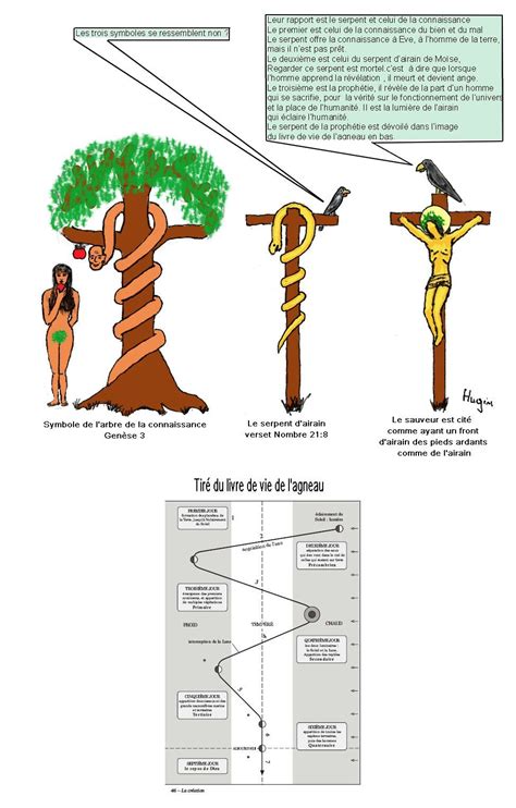 Les Symboles Du Serpent Dans La Bible Etudes Des Symboles Dans La