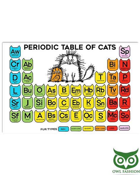 Periodic Table Of Cats Horizontal Poster Owl Fashion Shop