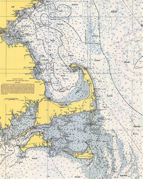 Nautical Chart Of Cape Cod V Photograph By Paul And Janice Russell