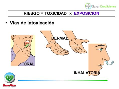 ToxicologÍa Generalidades