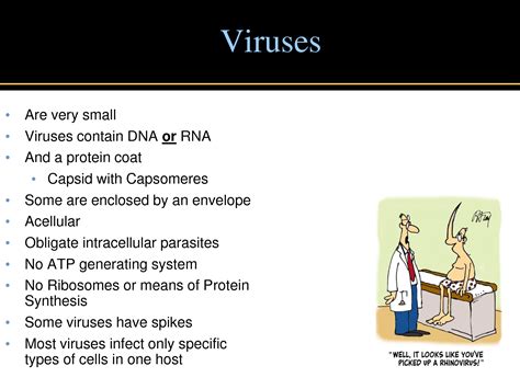 SOLUTION What Is The Difference Between Viruses Viroids And Prions