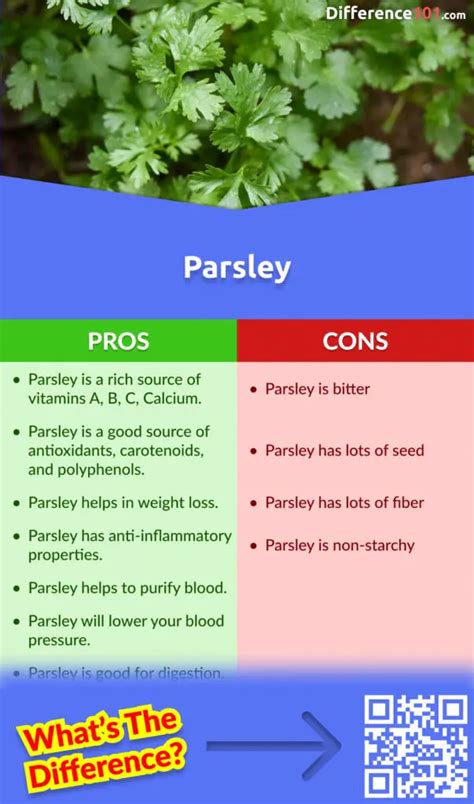 Parsley Vs Cilantro Key Differences Pros Cons Similarities