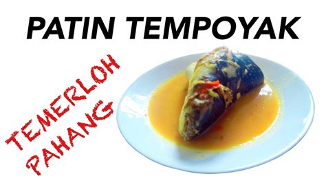 Resepi Ikan Patin Tempoyak Temerloh Pahang Youtube