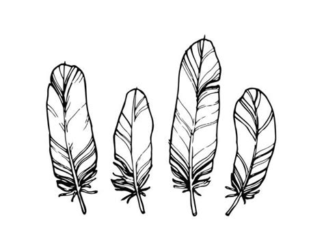 Black And White Feather Stock Photos Pictures And Royalty Free Images