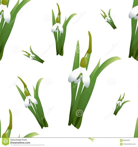 Seamless Pattern With Snowdrops Flowers With Green Stems And Leaves