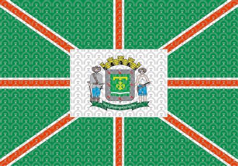 Brasão e Bandeira do Município de Goiânia GO mbi br