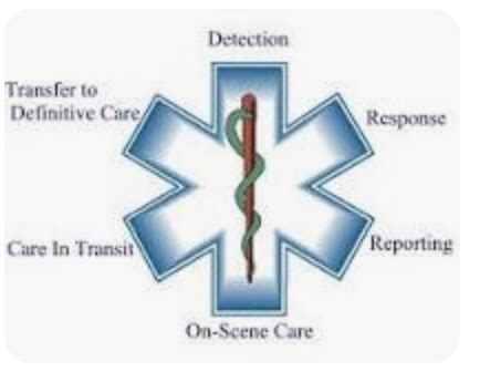 Chapter 1 EMS Systems Flashcards | Quizlet