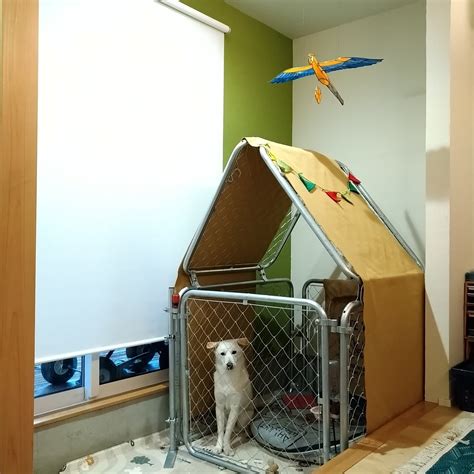 壁天井ワンコ犬小屋いぬと暮らすナチュラルなどのインテリア実例 2019 02 16 184421 ｜ Roomclip