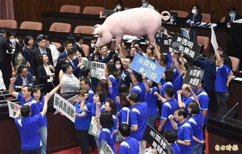 立院攻防美豬牛議題 藍營在議場抬豬公抗議 政治 自由時報電子報