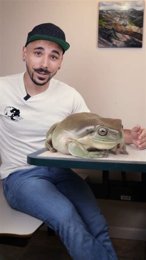 LOOK AT THE SIZE OF THIS FROG : r/AbsoluteUnits