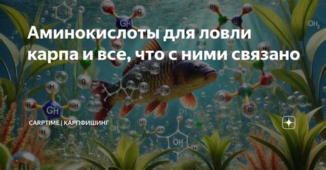 Аминокислоты для ловли карпа и все, что с ними связано | CarpTime ...