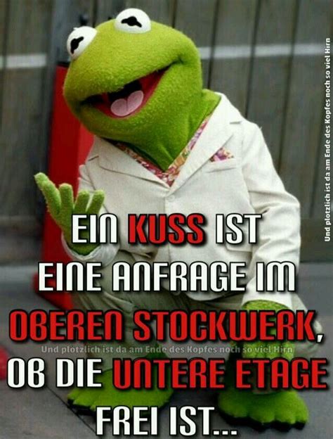 Lustige Bilder Freche Kermit Der Frosch Spruche Deutsch 900 Spruche