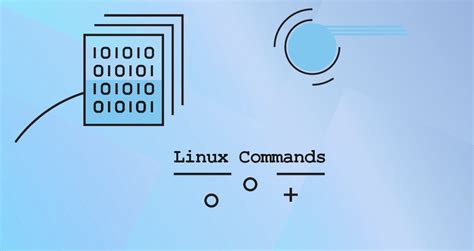 Basic Linux Commands | Linuxize