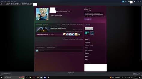 Conta Cs Go Quase K Horas Ano De Steam Prime Counter Strike Dfg