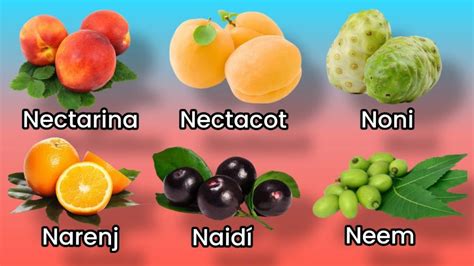 Fruta Que Começa Com A Letra N - Frutas que Empiezan por la Letra Ñ