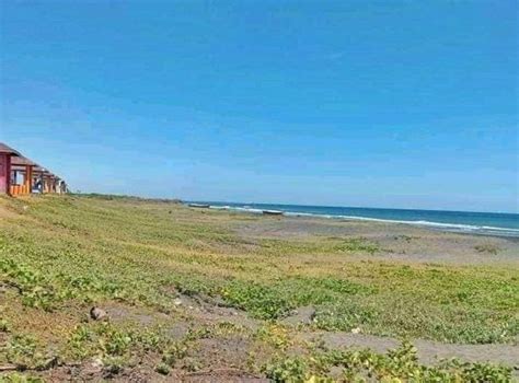 500 sqm Beach Lot For Sale in Barangay Dodan, Aparri, Cagayan