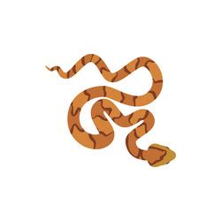 Snake Top View Vector Images (60)