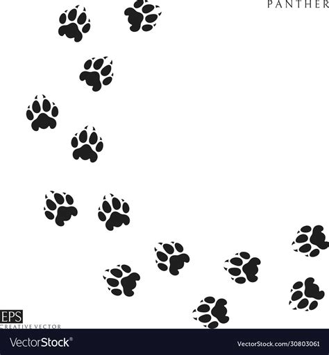 Panther paw prints silhouette Royalty Free Vector Image