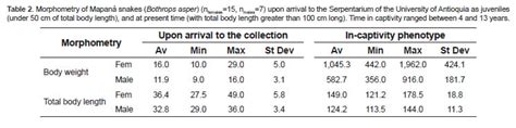 Corn Snake Feeding Schedule