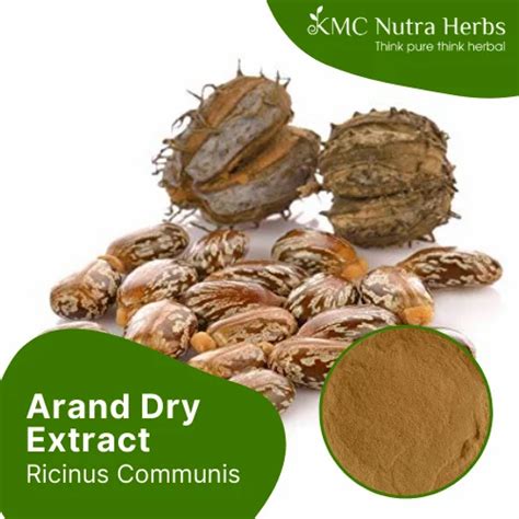 Arand Dry Extract Packaging Type Hdpe Drum At Rs 480 In Corbett Id