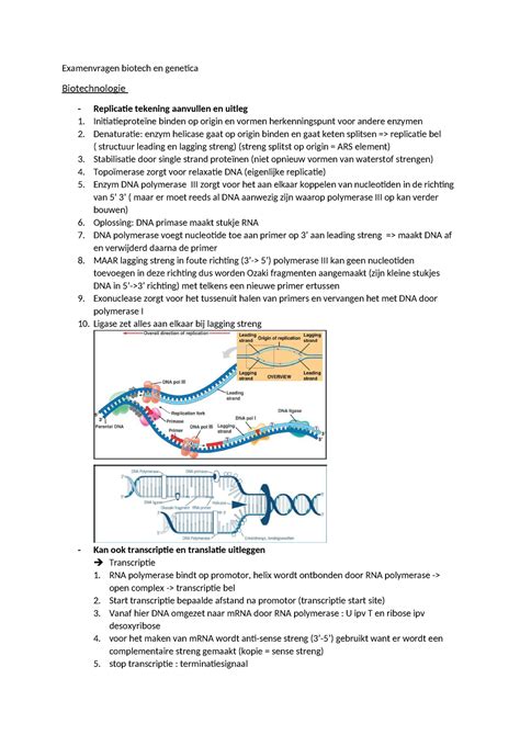 Examenvragen Biotech En Genetica Examenvragen Biotech En Genetica