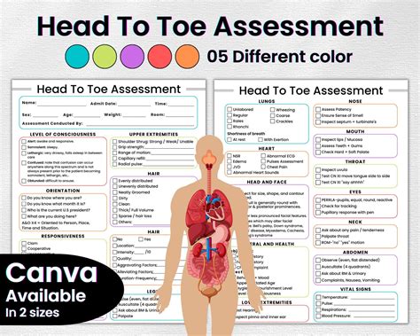 Head To Toe Assessment Checklist Artofit