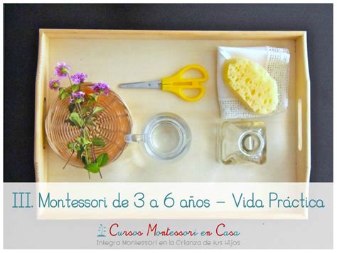 Nuevo Curso Online Montessori De A A Os Vida Pr Ctica