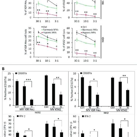 Characterization Of Normoxic And Hypoxic Tumor Derived Microvesicles