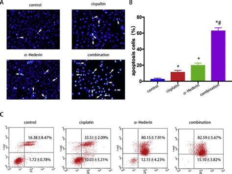 Hederin Combined With Cisplatin Promote Apoptosis Of Gc Cells A