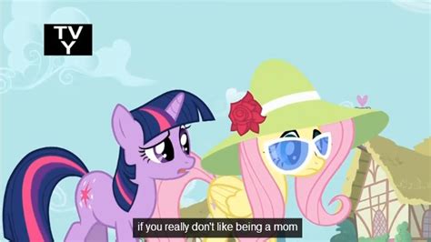 19814 Safe Derpibooru Import Screencap Fluttershy Twilight