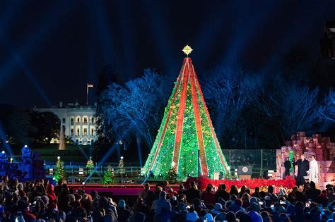 DC Christmas Trees, Ranked - Washingtonian