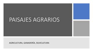 Paisajes Agrarios Ppt