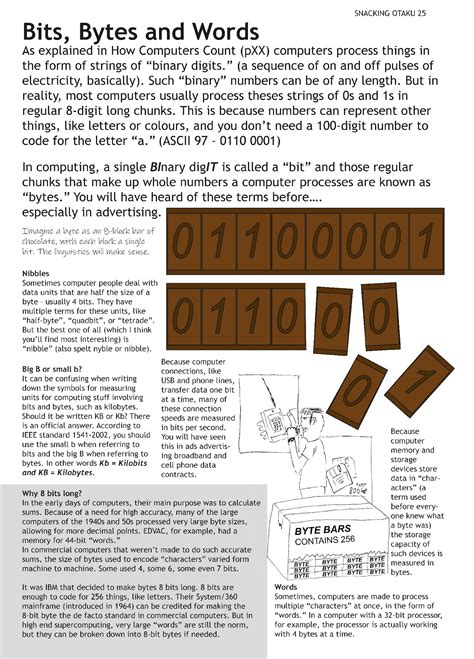 Nibble 25 Bits Bytes And Words