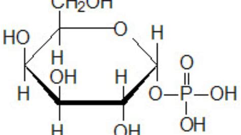 Galactose Structure