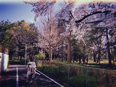 【平日随筆】「ねえみて、公園が夜になったよ」｜丘田ミイ子