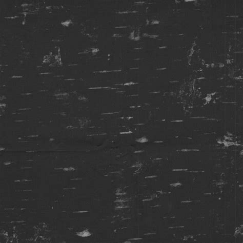 31-BRCH-BLAK - Siltex Mills
