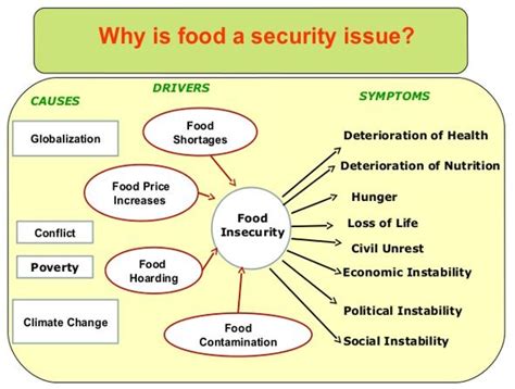 Food Security Pillars Determinants And Factors Affecting It Public