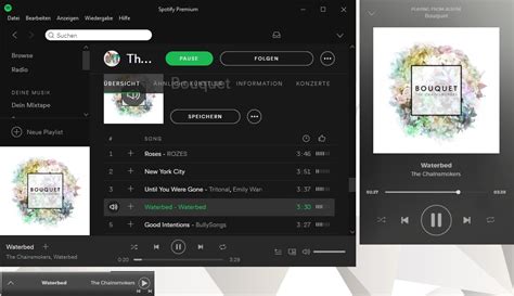 Spotify Music Player Rainmeter Polewhouse