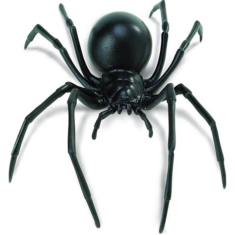 Black Widow Spider Plush | ubicaciondepersonas.cdmx.gob.mx