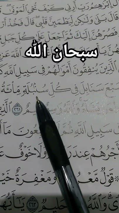 Surah Al Baqarah Ayat 261 Tentang Keutamaan Sedekah Quranrecitation