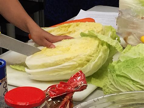 Jen's Blog of Random Thoughts