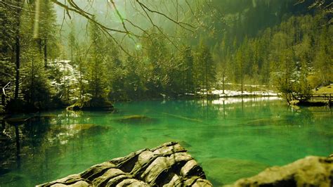 🔥 Free Download Turquoise Lake Water Green Nature Background Resort Park Stock By Oliviaf29