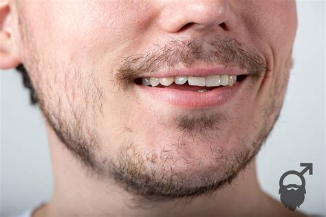 Stryx How To Fix A Patchy Beard 5 Proven Ways