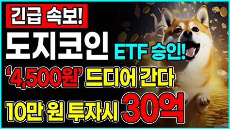 긴급속보 도지etf 도지코인 ‘4500원 드디어 간다 10만 원 투자시 30억 도지코인 도지코인전망 도지코인