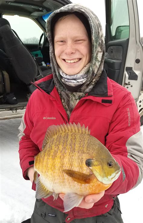 MN ice fishing adventure - Ice Fishing Forum - Ice Fishing Forum | In-Depth Outdoors