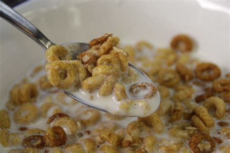 Bowl of Honey Oat Cheerios Cereal with Milk Stock Photo - Image of powdered, generally: 235375362