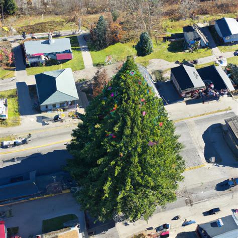 The World S Tallest Christmas Tree A Spectacular Sight To Behold